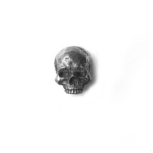 Puede incluir: Una figurita de calavera de plata con un diseño detallado.