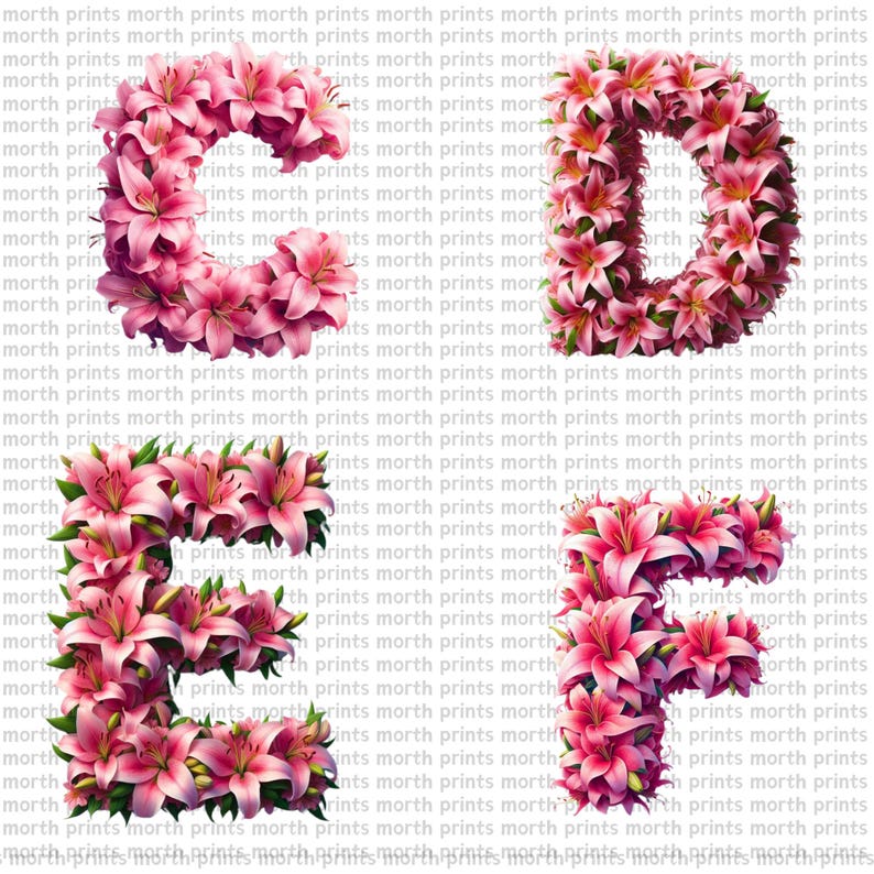 Lily Floral Alphabet Clipart PNG, Elegant A–Z Letters, 38 PNG Files ...
