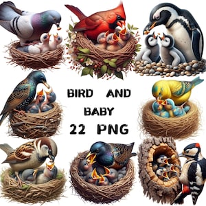 Clipart de pássaros, pássaros coloridos em aquarela, imagens de espécies de pássaros, sublimação de pássaros, pássaro em galho, ilustração de pássaros, scrapbooking digital