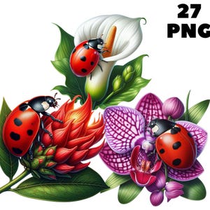 May include: A digital illustration of three ladybugs on a bouquet of flowers. The flowers are a white calla lily, a red ginger flower, and a purple orchid. The ladybugs are red with black spots.