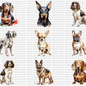 Watercolor Dog Breeds Clipart PNG, Labrador & Golden Retriever, 50 PNG ...