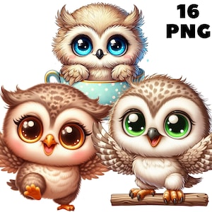 16 PNG niedliche Baby Eulen Clipart, Clipart Tiere, süße Tiere, niedliche Baby-Tiere, Illustrationen, sofortiger Download für kommerzielle Nutzung