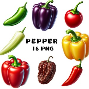 Pepper Clipart: 16 PNG Vegetable Illustrations (Commercial Use)