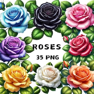 35 PNG Roses Clipart , Floral png, Flowers clipart, Red rose, Pink rose, Spring clipart, Illustration , Instant Download for Commercial Use