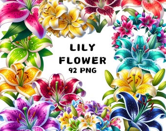 92 Lily Flower Clipart Images: PNG Illustrations, Bouquets, Wreaths (Digital Download)