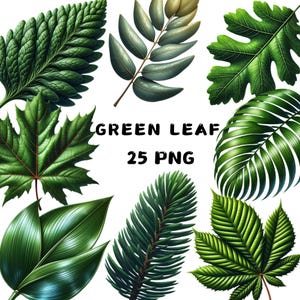 25 grünes Blatt Clipart, Blätter Clipart PNG, grünes Blatt, Grün Aquarell Clipart, Grün Bündel Clipart, Botanische Clipart, Hochzeit Clipart