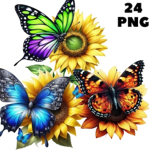 Butterfly sunflower clipart, Butterfly Clipart, Sunflower png, Spring animals, spring png, cute butterfly clipart, clipart butterfly