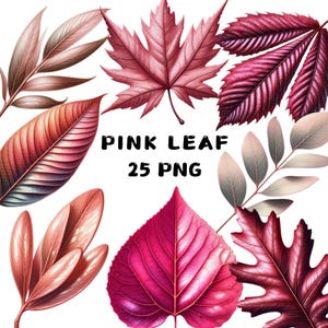 Puede incluir: Una colección de 25 imágenes digitales con hojas rosas y rojas de diferentes formas y tamaños. Las hojas están aisladas sobre un fondo blanco. El texto "PINK LEAF 25 PNG" se muestra en el centro de la imagen.
