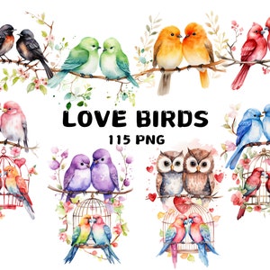 115 Clipart de pássaros do amor em aquarela, papagaio, pássaros do dia dos namorados, ilustrações, download instantâneo para uso comercial
