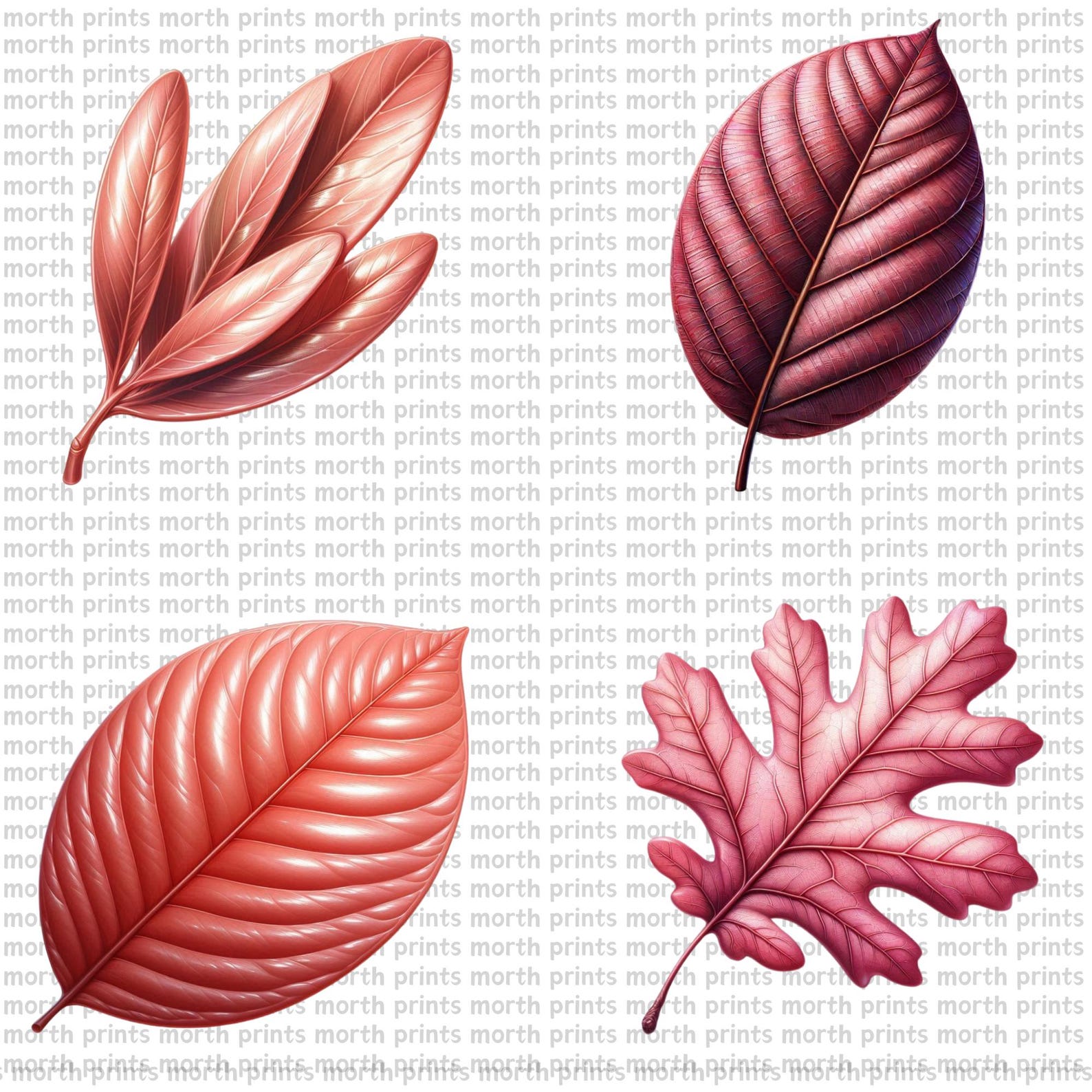 Pink Leaf Clipart PNG, Soft Watercolor Botanical Illustrations for ...
