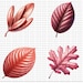 Pink Leaf Clipart PNG, Soft Watercolor Botanical Illustrations for ...