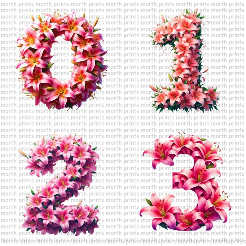 Lily Floral Alphabet Clipart PNG, Elegant A–Z Letters, 38 PNG Files ...