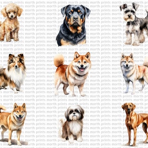 Watercolor Dog Breeds Clipart PNG, Labrador & Golden Retriever, 50 PNG ...