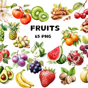 65 imágenes prediseñadas de frutas en acuarela: manzana, albaricoque, aguacate, kiwi, plátano, bayas y cerezas. Descarga instantánea para uso comercial.