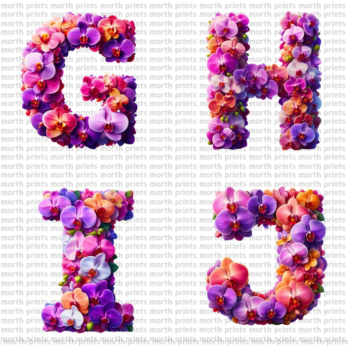 Orchids Lettering Orchid Floral Alphabet Clipart PNG, A–Z Letters With Orchid Blooms ...
