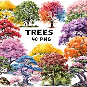 40 aquarel bomen clipart, geschilderde kleurrijke boom clipart, boom, bladeren, illustraties, Instant Download voor commercieel gebruik