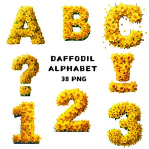 38 PNG Alfabeto de narcisos Clipart, Alfabeto PNG, Clipart floral, Alfabeto floral, Ilustraciones, Descarga instantánea para uso comercial