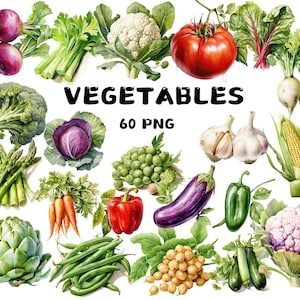60 Aquarell Gemüse Clipart, Zwiebel, Tomate, Karotte, Gurke, Aubergine, Brokkoli, Illustrationen, Sofort-Download für kommerzielle Nutzung