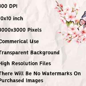May include: A digital illustration of a pink and white cherry blossom branch with a butterfly. The image is 10x10 inches, 3000x3000 pixels, 300 DPI, and has a transparent background. The image is for commercial use and has no watermarks.