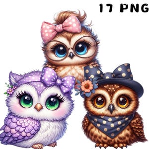 Niedliche Eulen Clipart, süße Eulen Sublimation Clipart, bunte Eulen, Eule Kunstwerk, Eule druckbare, digitaler Download, Kartenherstellung