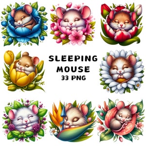 33 png slapende muis clipart, schattige muis clipart, aquarel muis clipart bundel, illustraties, instant download voor commercieel gebruik
