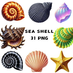 Snäckskal Clipart PNG, Havskoraller och Strandsnäckor Illustrationer, Akvarell Marin Clipart för Sommarpyssel och Dekor, Kommersiellt Bruk