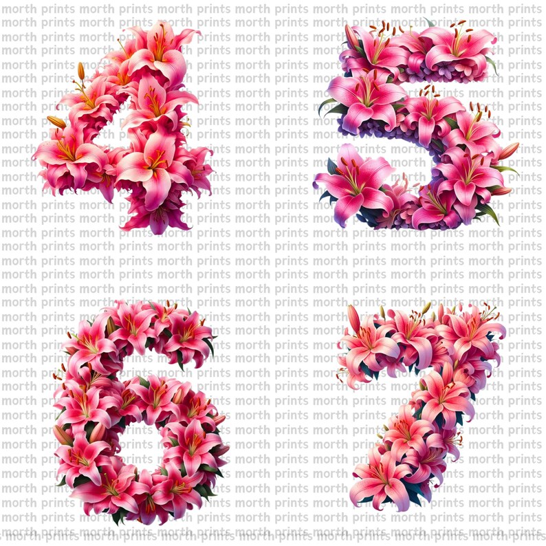 Lily Floral Alphabet Clipart PNG, Elegant A–Z Letters, 38 PNG Files ...
