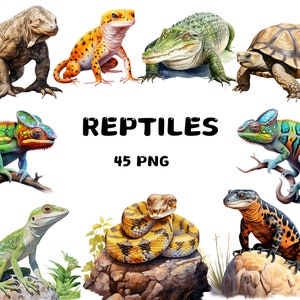 45 Répteis em aquarela Clipart, Cobra, Tartaruga, Crocodilo, Lagarto, Camaleão, Ilustrações de Aranha, Download instantâneo para uso comercial