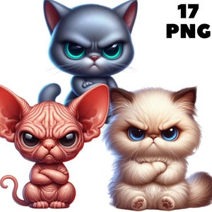 Grumpy Cat Clipart: Funny Quirky Animal PNGs (Digital Download)