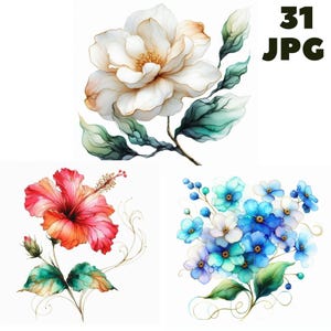 31 imágenes prediseñadas de flores elegantes en formato JPG, imágenes prediseñadas de flores abstractas, imágenes prediseñadas de acuarela imprimibles, ilustraciones, descarga instantánea para uso comercial