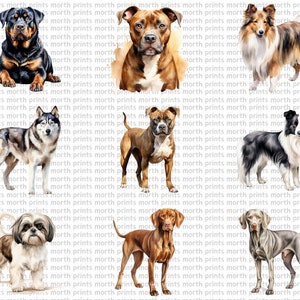 Watercolor Dog Breeds Clipart PNG, Labrador & Golden Retriever, 50 PNG ...