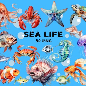 50 aquarel Sea Life clipart, octopus, pinguïn, schildpad, anemoonvis, oceaandieren, illustraties, Instant Download voor commercieel gebruik