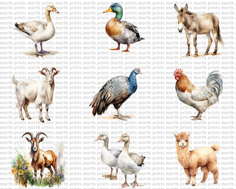 Watercolor Farm Animals Clipart PNG, Cow Pig Horse Goat Sheep, 55 PNG ...