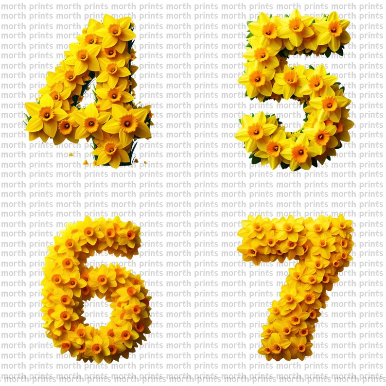 Daffodil Floral Alphabet Clipart PNG, Spring A–Z Letters, 38 PNG File ...
