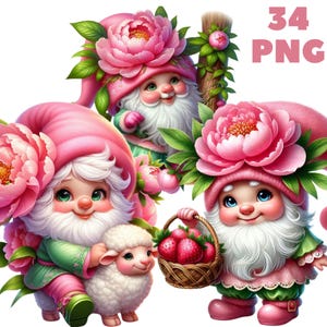 34 PNG Peony Gnome Clipart, niedliche Zwerge, Blumenzwerge, Gnom Bundle, Pfingstrose Clipart, Illustrationen, sofortiger Download für kommerzielle Nutzung