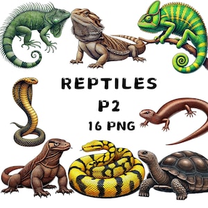16 PNG Répteis P2 Clipart, Camaleão, Lagarto, Cobra, Tartaruga, Tartaruga, Iguana, Ilustração Animal, Download Instantâneo para Uso Comercial