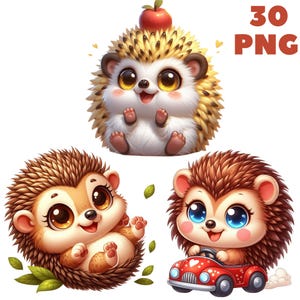 30 PNG niedliche Igel Clipart, Tiere Clipart, süße Tiere, niedliche Baby-Tiere, Illustrationen, sofortiger Download für kommerzielle Nutzung