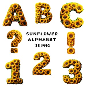 38 PNG ひまわりアルファベット クリップアート、アルファベット PNG、花のクリップアート、繊細なアルファベット、イラスト、商用利用のための即時ダウンロード