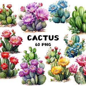 60 Aquarell Kaktus Clipart, Blumenkaktus, Illustrationen, Sofort Download für kommerzielle Nutzung