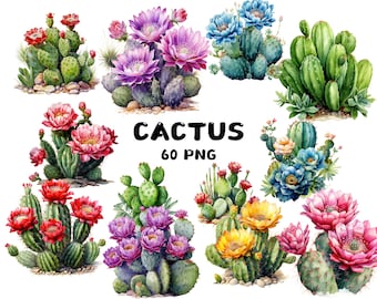 Clipart PNG de cactus, Illustrations de plantes succulentes, cactus verts, fond transparent, autocollants, scrapbooking, sublimation, téléchargement numérique