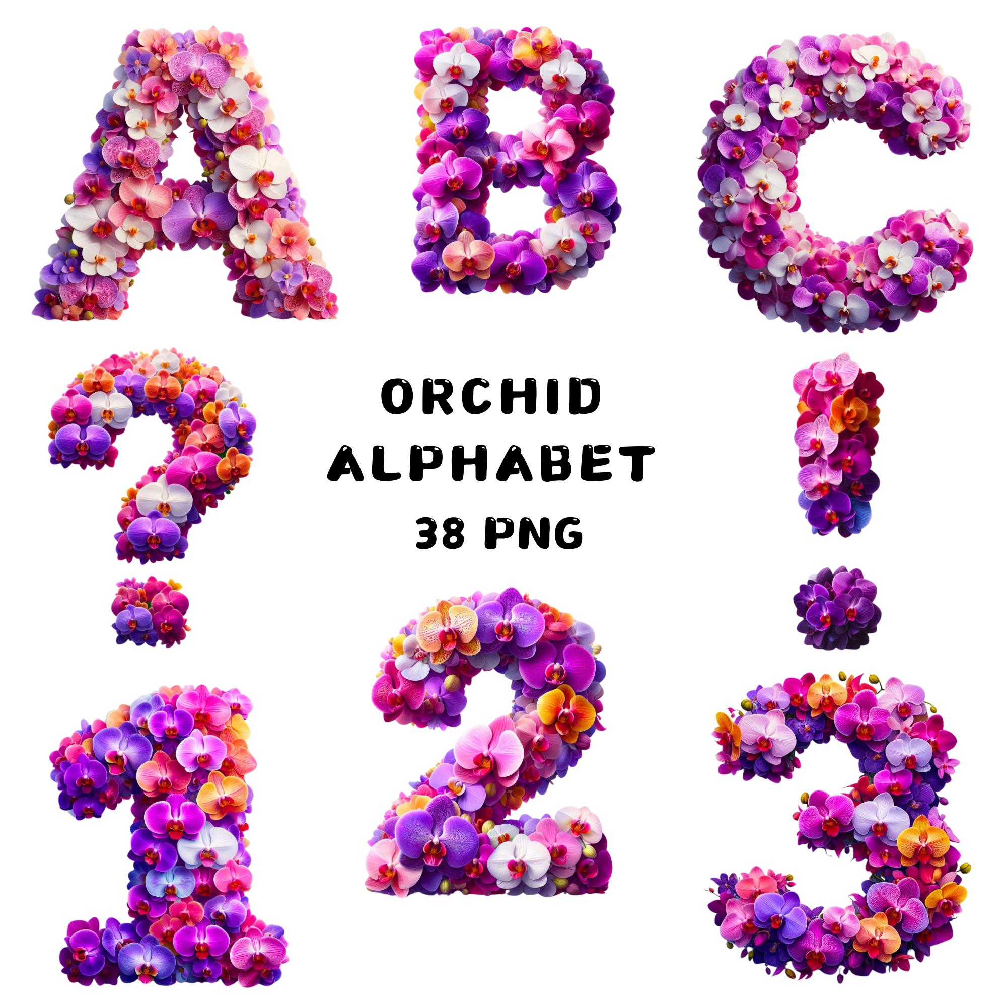 Orchids Lettering Orchid Floral Alphabet Clipart PNG, A–Z Letters With Orchid Blooms ...