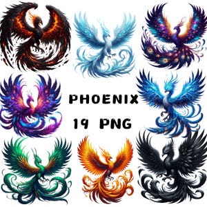 Clipart di fenice, illustrazioni di uccelli mitologici, arte fantasy di fiamme, download digitale istantaneo, uso commerciale illimitato per l'artigianato, png di fenice
