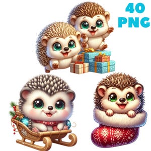 40 PNG Noël hérisson Clipart, animaux mignons, clipart Noël, lot d'animaux, illustrations, téléchargement immédiat pour un usage commercial
