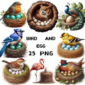 Watercolor Bird Clipart: 25 Colorful Bird Species Images (PNG Digital Download)