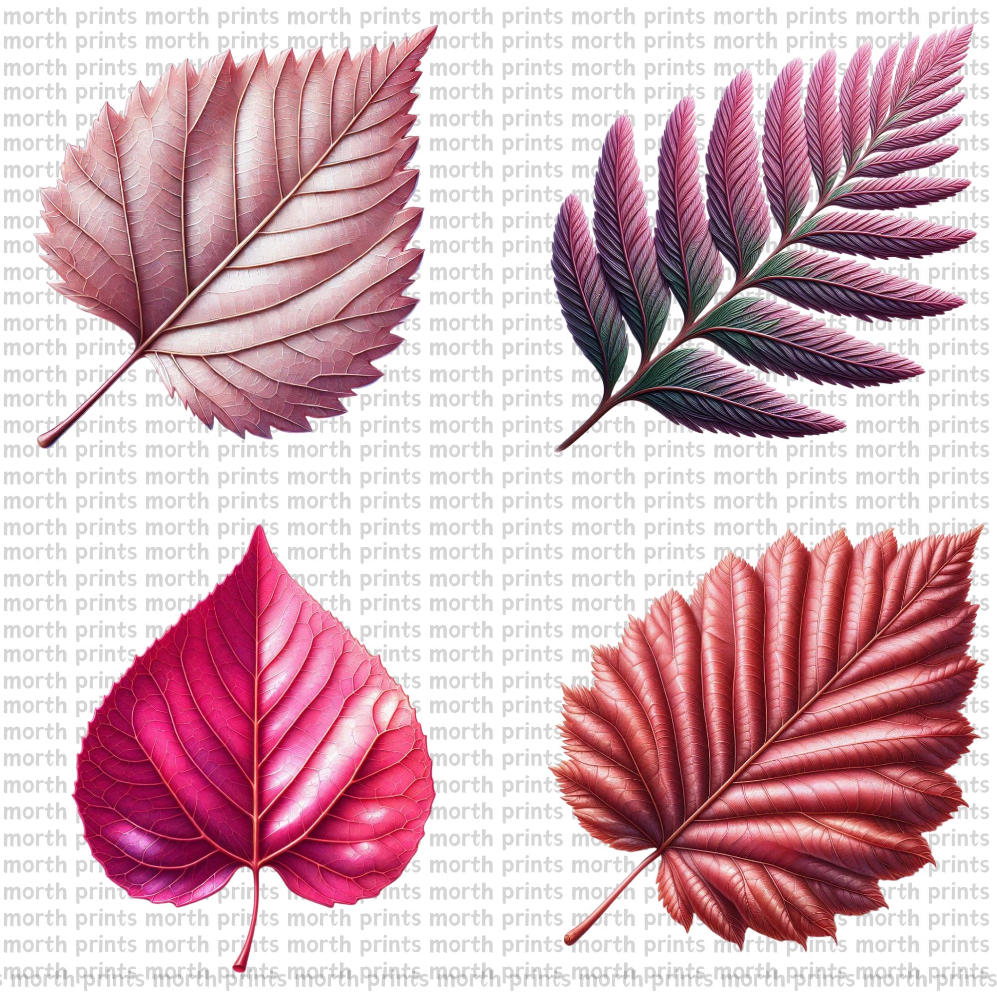 Pink Leaf Clipart PNG, Soft Watercolor Botanical Illustrations for ...