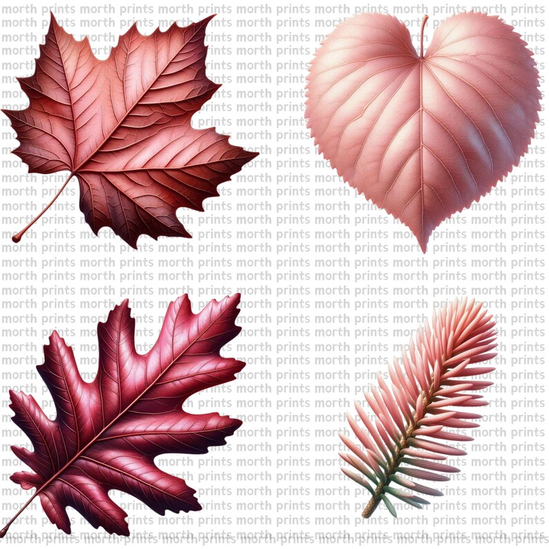 Pink Leaf Clipart PNG, Soft Watercolor Botanical Illustrations for ...