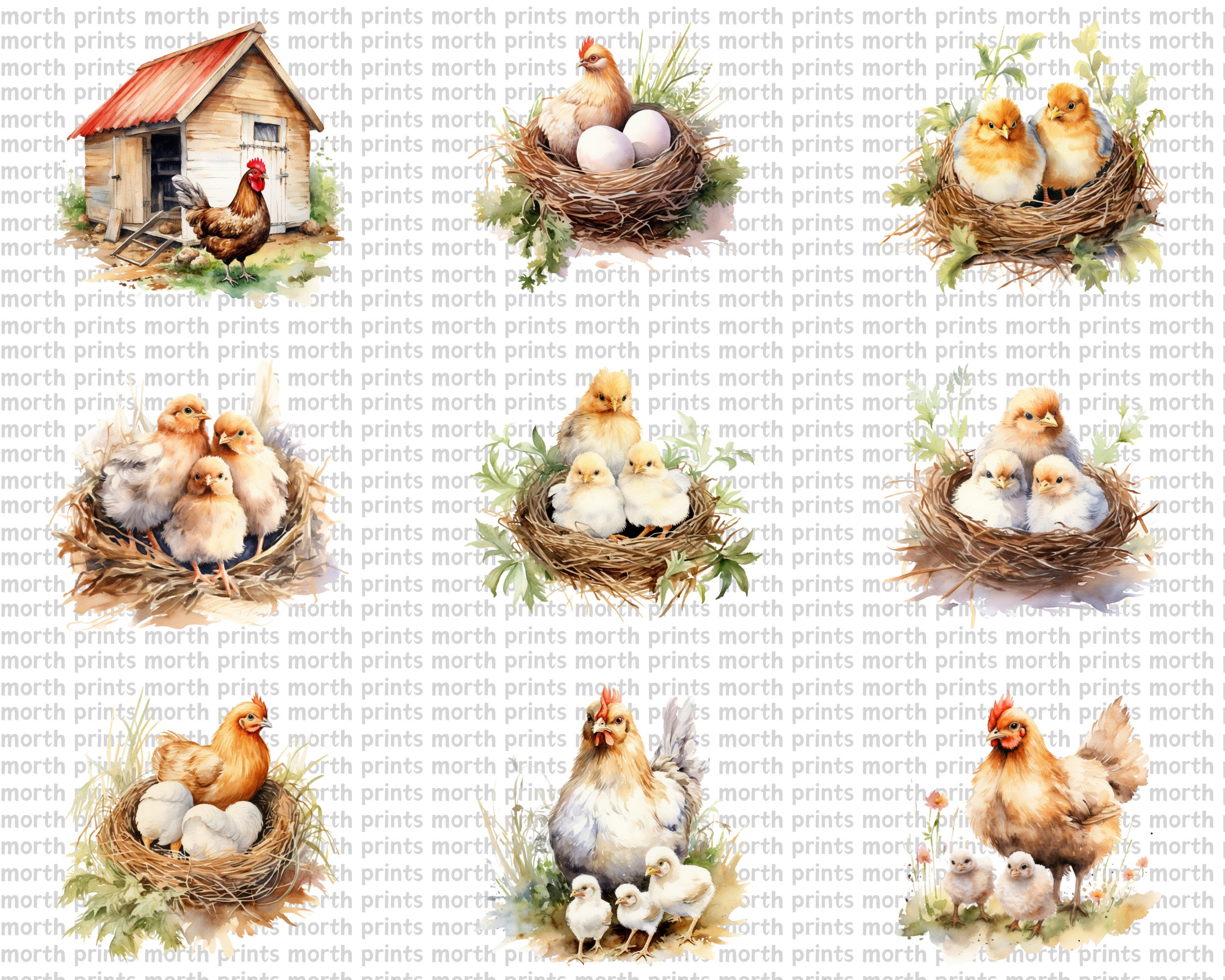 Watercolor Chicken Clipart PNG, Rooster Hen Chick, Farm Animals, 55 PNG ...