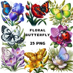 Bundle de cliparts papillons aquarelle, clipart papillon floral, papillons colorés Png, papillons mignons, papillons botaniques Png