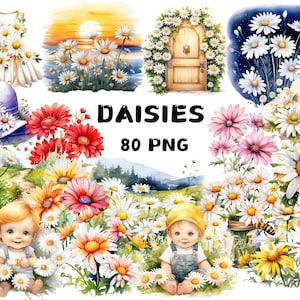 80 Clipart di margherite acquerellate, fiori primaverili, bouquet floreale, fiori bianchi, margherite, illustrazioni, download immediato per uso commerciale