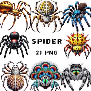 21 PNG Spider Clipart, Spider png, Adorable Spider Clipart Bundle, Designs de alta qualidade, Arte de insetos, Imprimíveis, Uso comercial